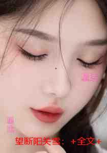 望断阳关雪：结局+番外+后续畅销巨著