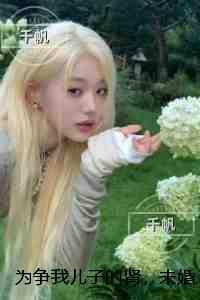 为争我儿子的肾，未婚夫将我告上法庭：全面完结