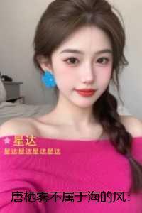 唐栖雾不属于海的风：正版