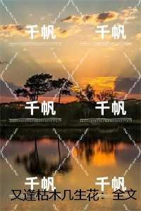 又逢枯木几生花：,宋南音陆瑾深精品选集