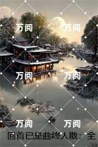 回首已是曲终人散：,盛淮序宋晚意