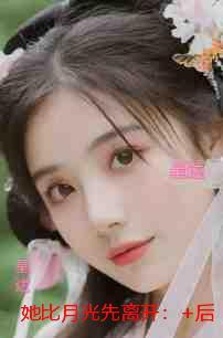 她比月光先离开：在线品鉴