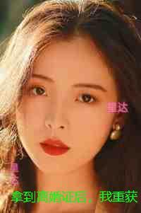 拿到离婚证后，我重获新生：书荒全文