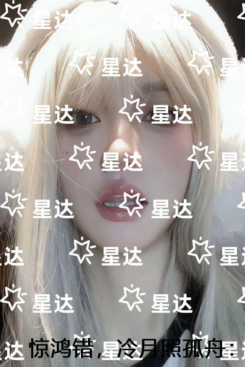 惊鸿错，冷月照孤舟：后续结局