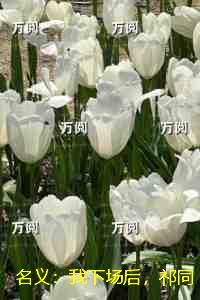 名义：我下场后，祁同伟必须进步：结局番外