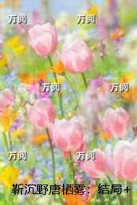 靳沉野唐栖雾：结局+番外榜单
