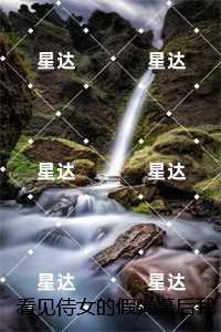 看见侍女的假弹幕后我杀疯了：结局+番外新书
