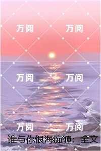谁与你恨海痴缠：,苏时晚付言晨高分佳作