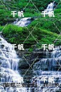 蝴蝶兰垂泪时，我与执念言和：,苏屿沉林夏小说免费