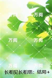 长相见长相思：完结