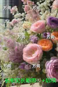 长相见长相思：精选小说推荐