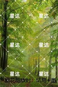 烟花绽放时：,安夏傅庭序番外+无删减