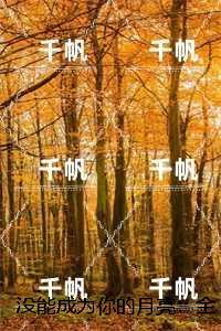 没能成为你的月亮：,乔青穗陆予深+后续+完结