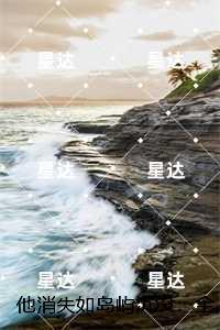 他消失如岛屿沉没：长篇小说