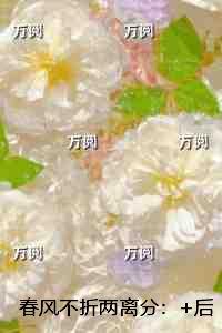 春风不折两离分：完整版在线阅读