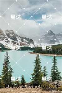 他消失如岛屿沉没