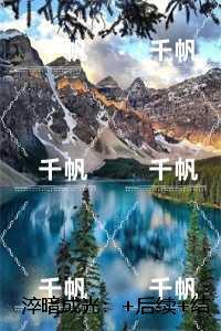 淬暗成光：,沈云舒江鹤结局+番外新书