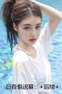 白首恨迟暮：全集小说推荐