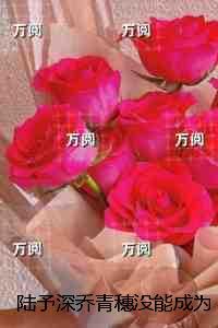 陆予深乔青穗没能成为你的月亮：精选小说